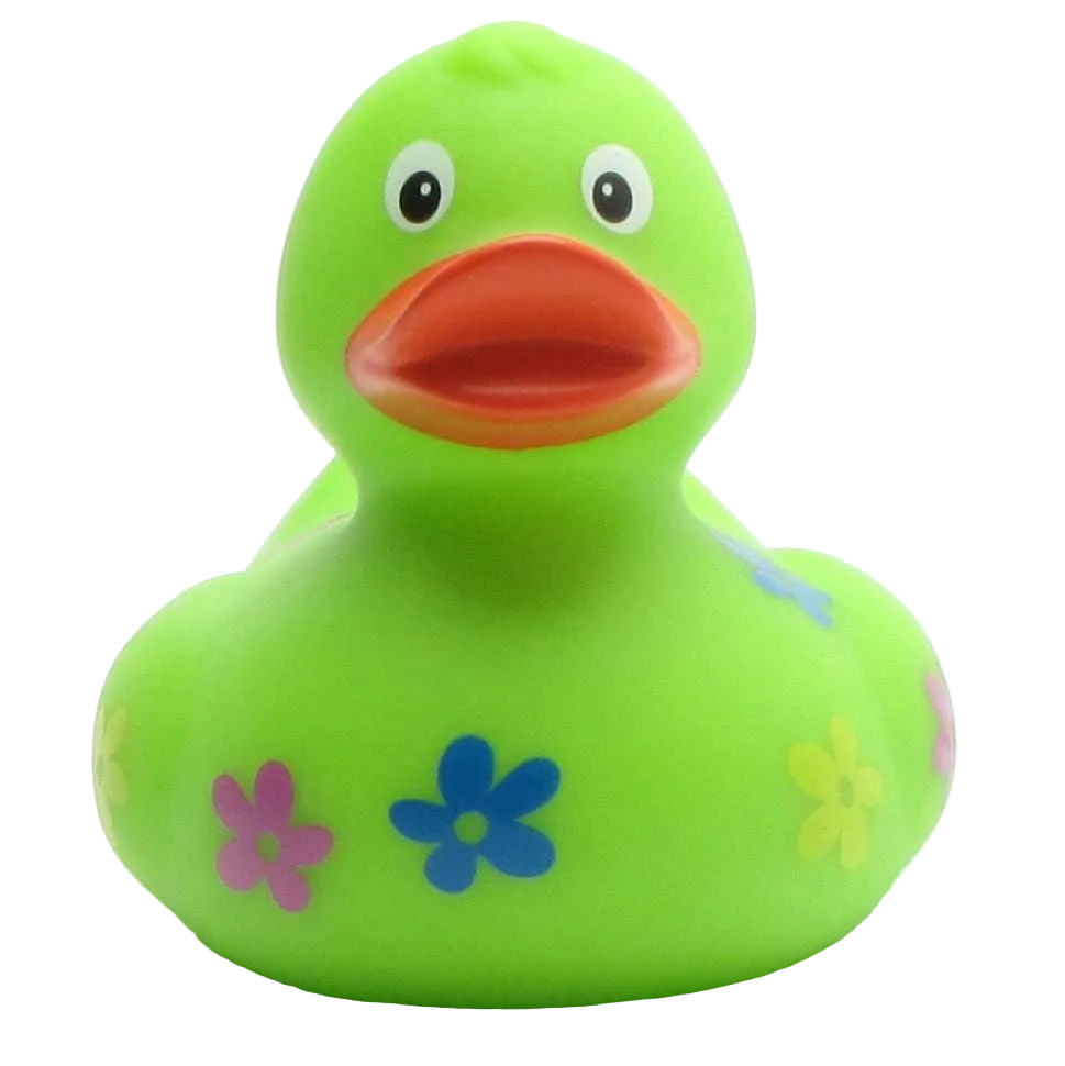 Floral Duck