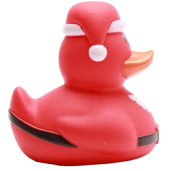 Ente Weihnachtsmann