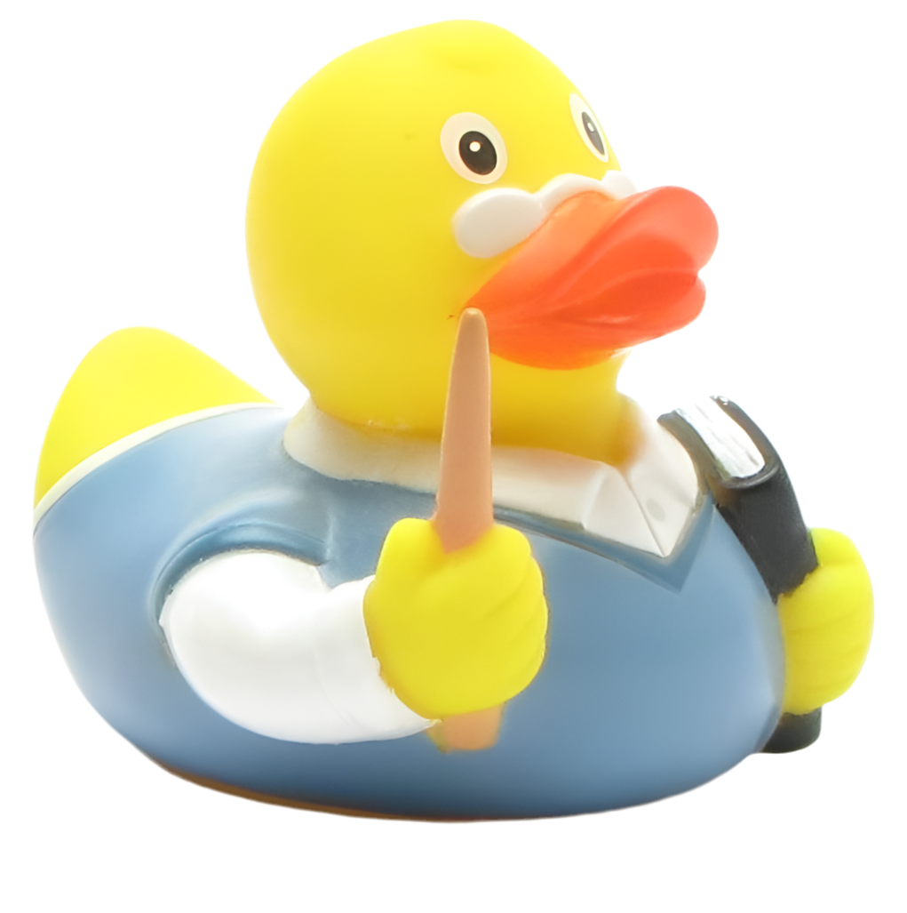 canard-professeur-factotum