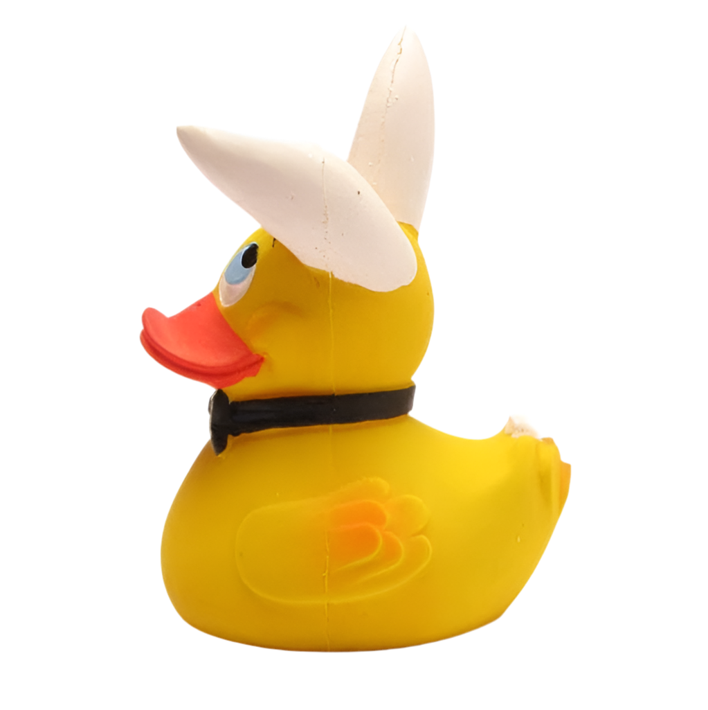 Duck Bunny