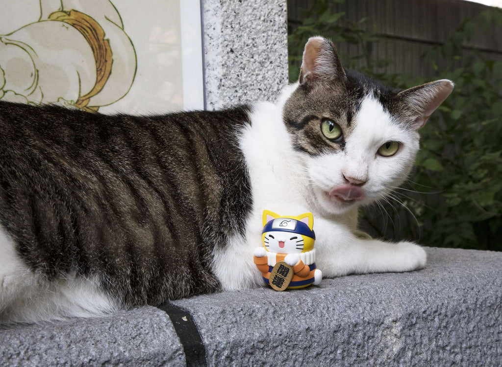 Mega Cat Project Nyaruto!