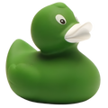 Canard Classique Vert