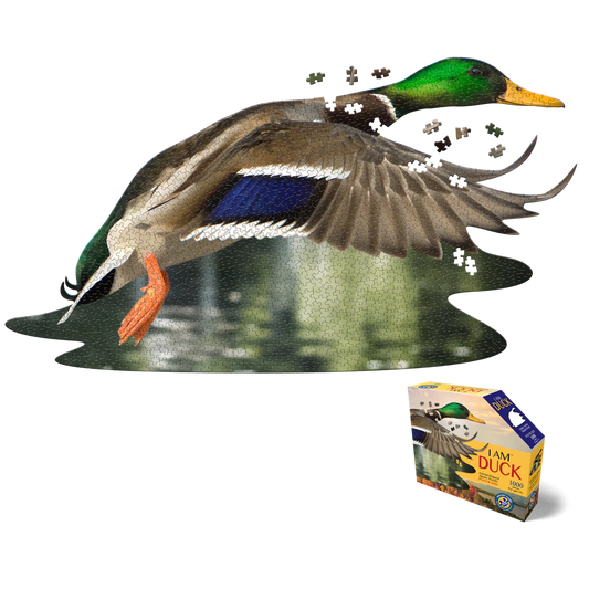 Puzzle Colvert Duck