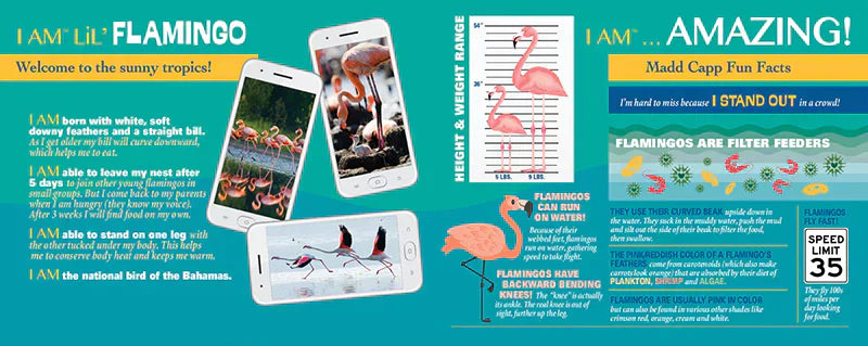 Puzzle I Am Lil' - Flamant Rose