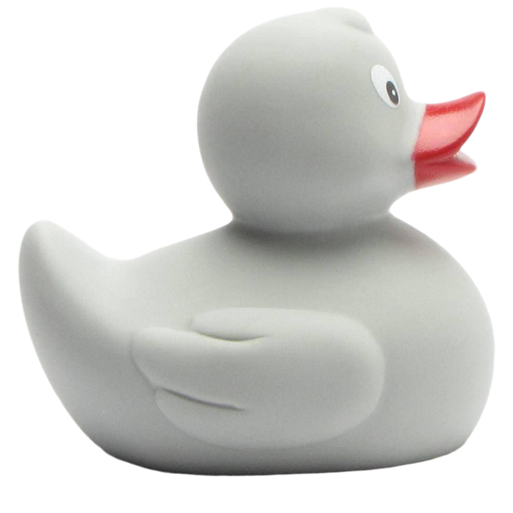 canard classique gris