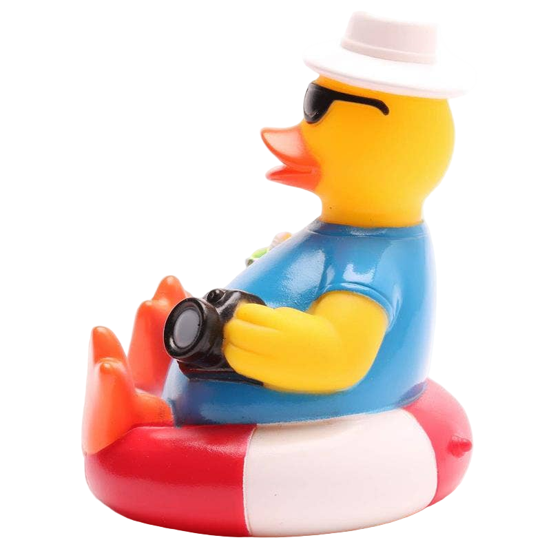 Tourist Duck on a Buoy