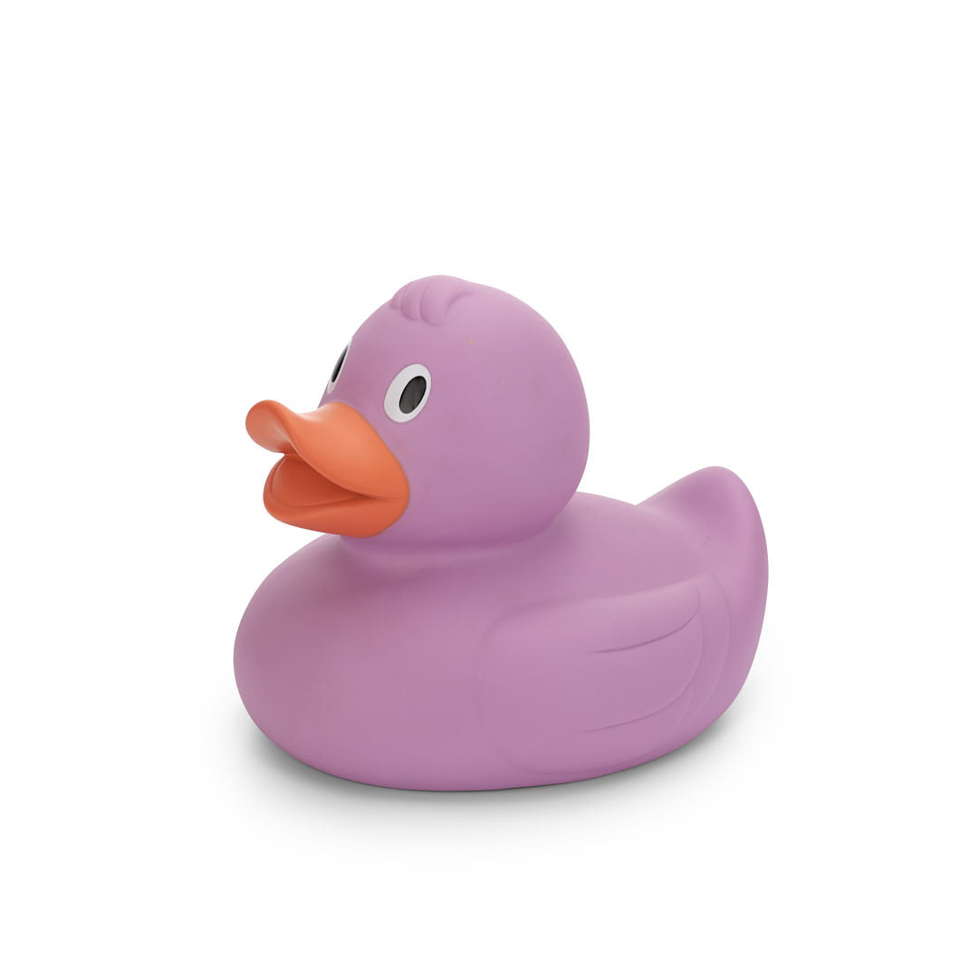 canard-mauve-xl-isabelle-laurier
