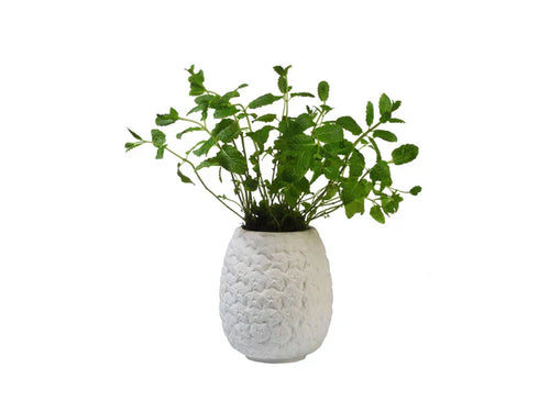 Pot de fleur Ananas