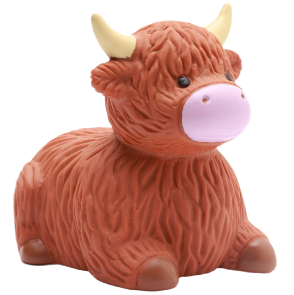 Vache des Highlands de Bain