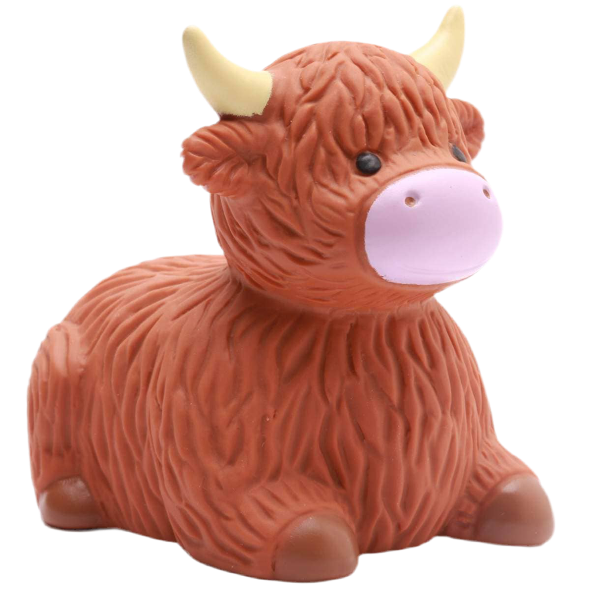 Vache des Highlands de Bain
