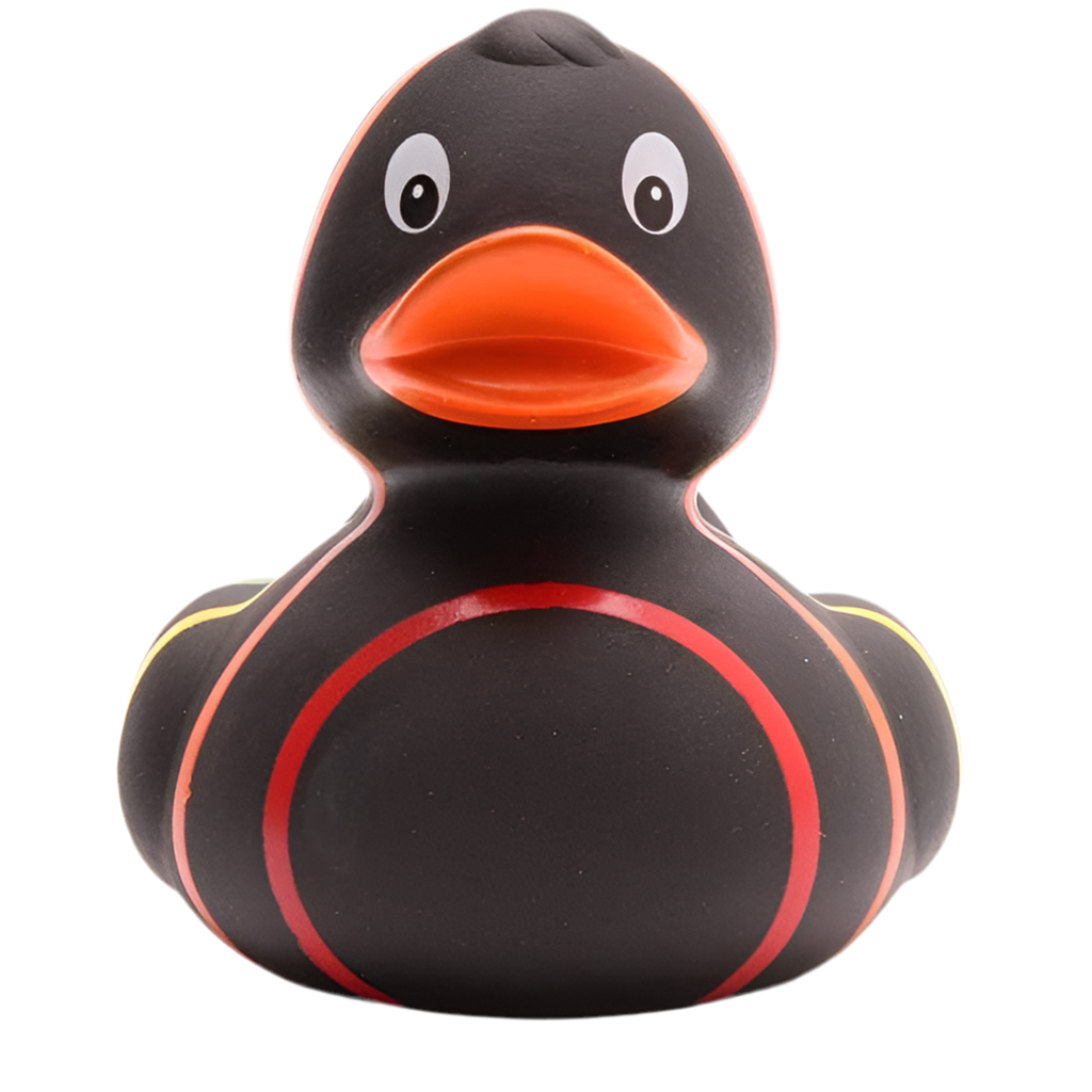 canard classique arc en ciel noir