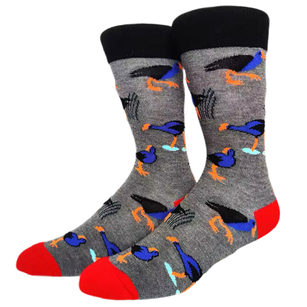 Exotische Vogelsocken