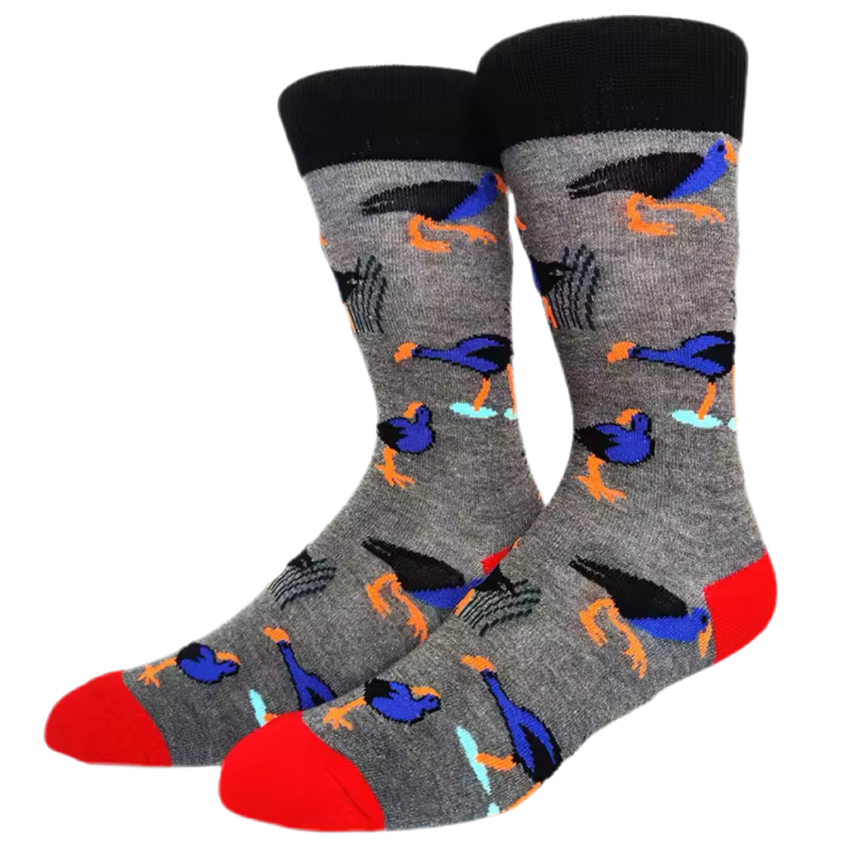 Exotische Vogelsocken