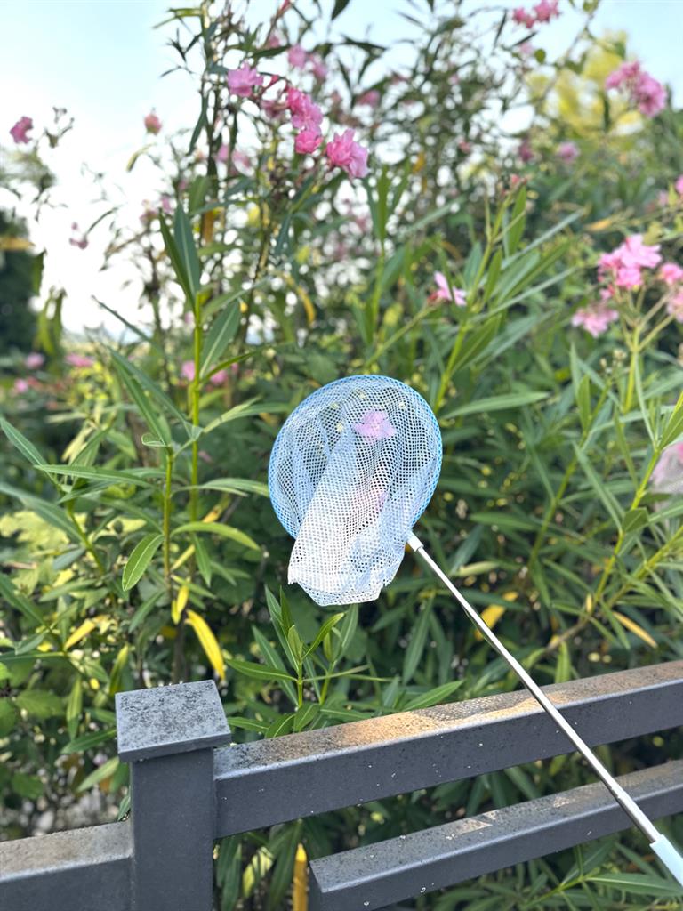 filet telescopique vieux bleu follow the duck