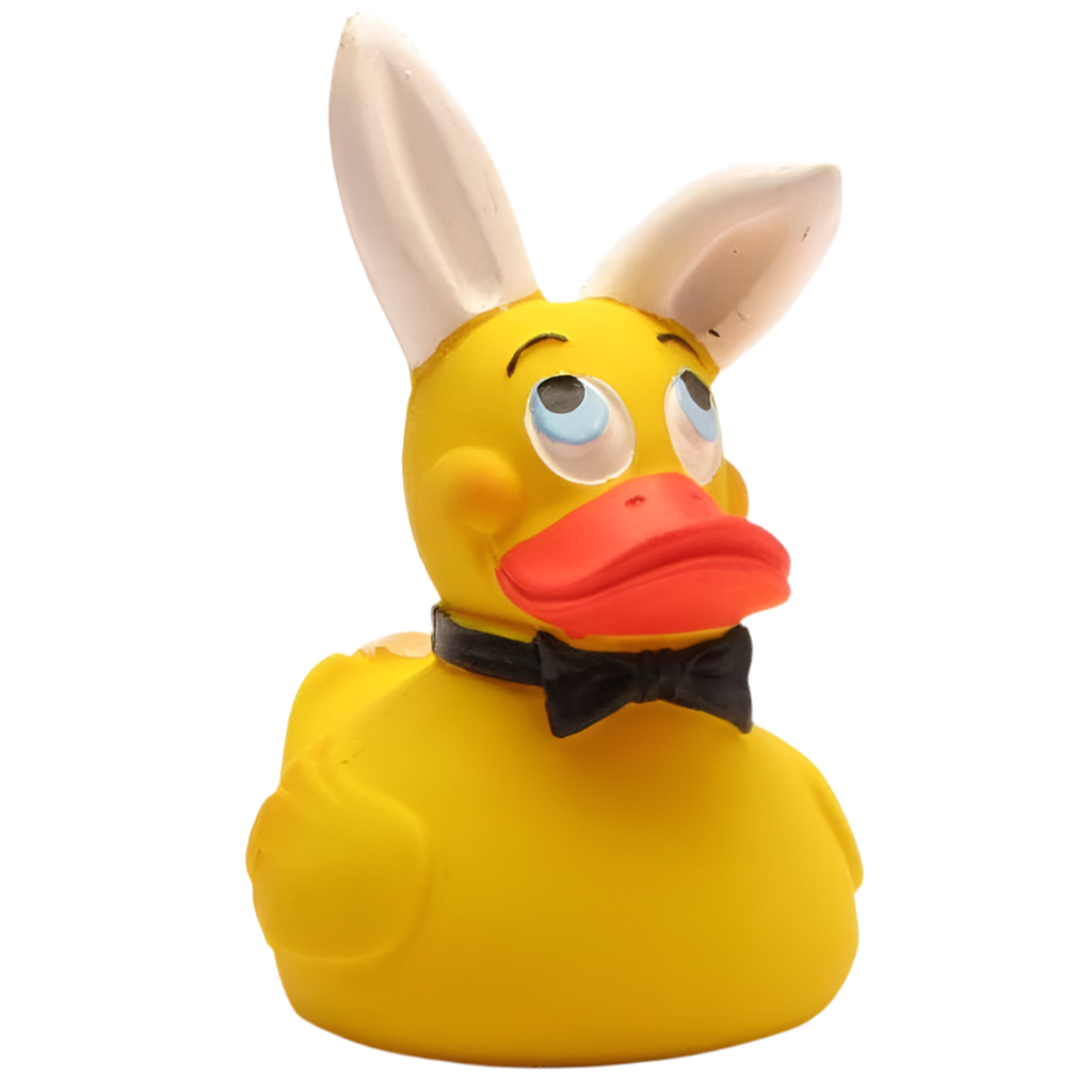 Duck Bunny