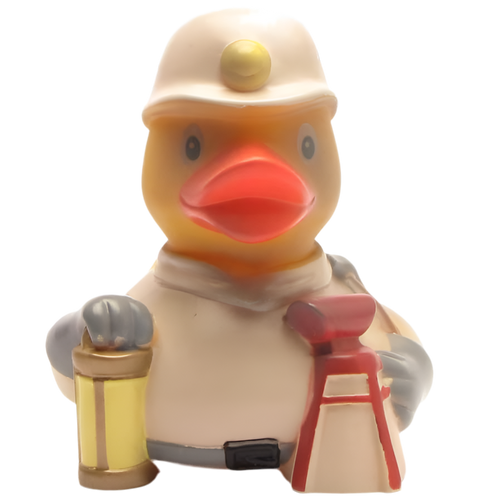 Canard Mineur – vue produit 2