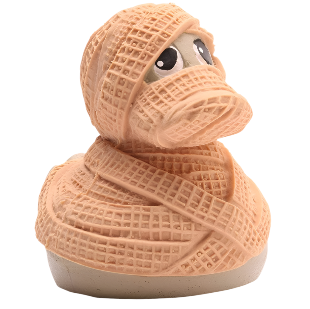 Canard Momie