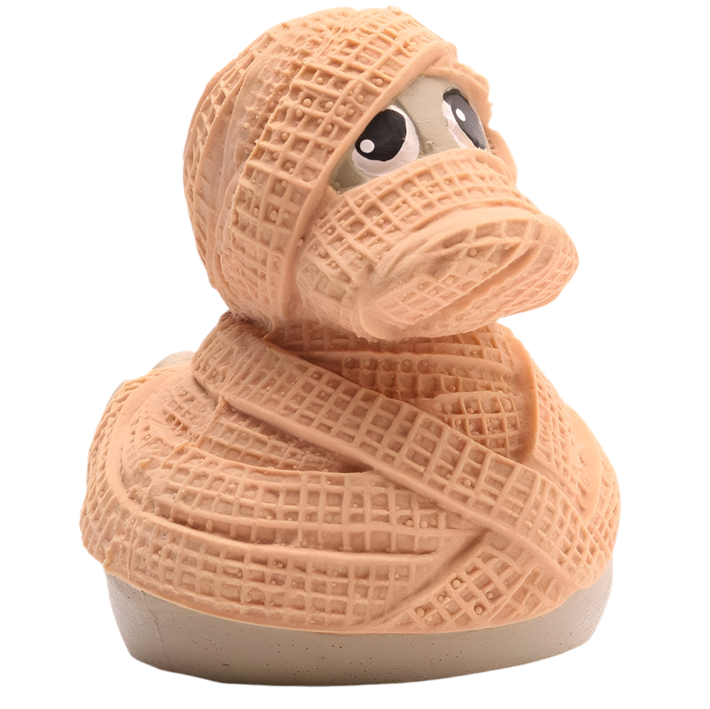 Canard Momie