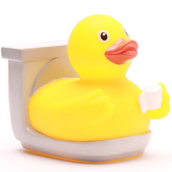 Canard WC