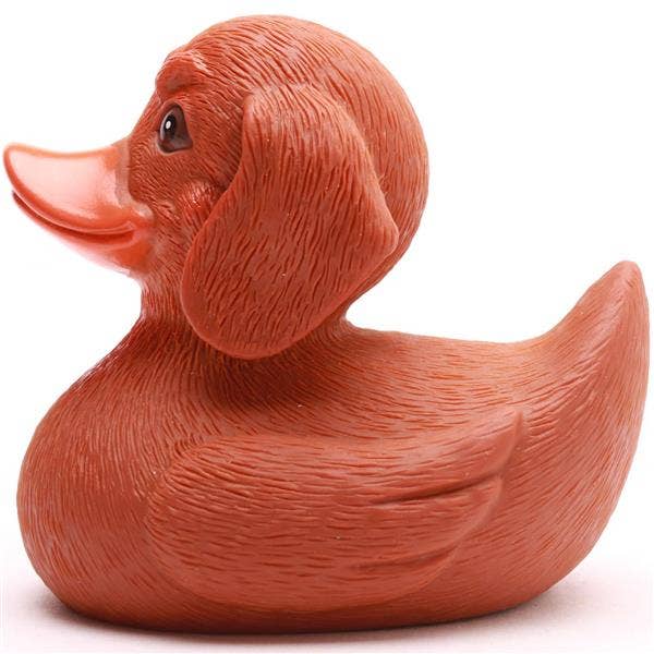 Canard Teckel