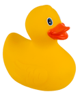Yellow Squeaking Duck,