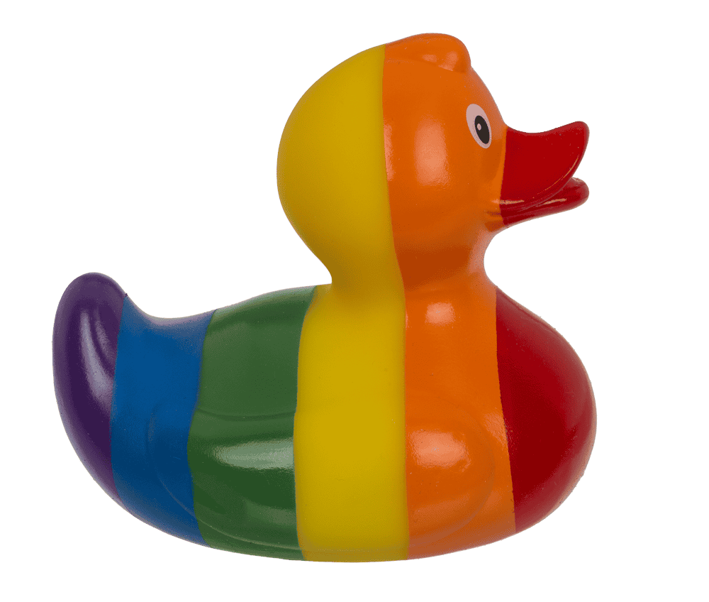 Arc-en-ciel canard couineur – env. 10 cm – vue 4