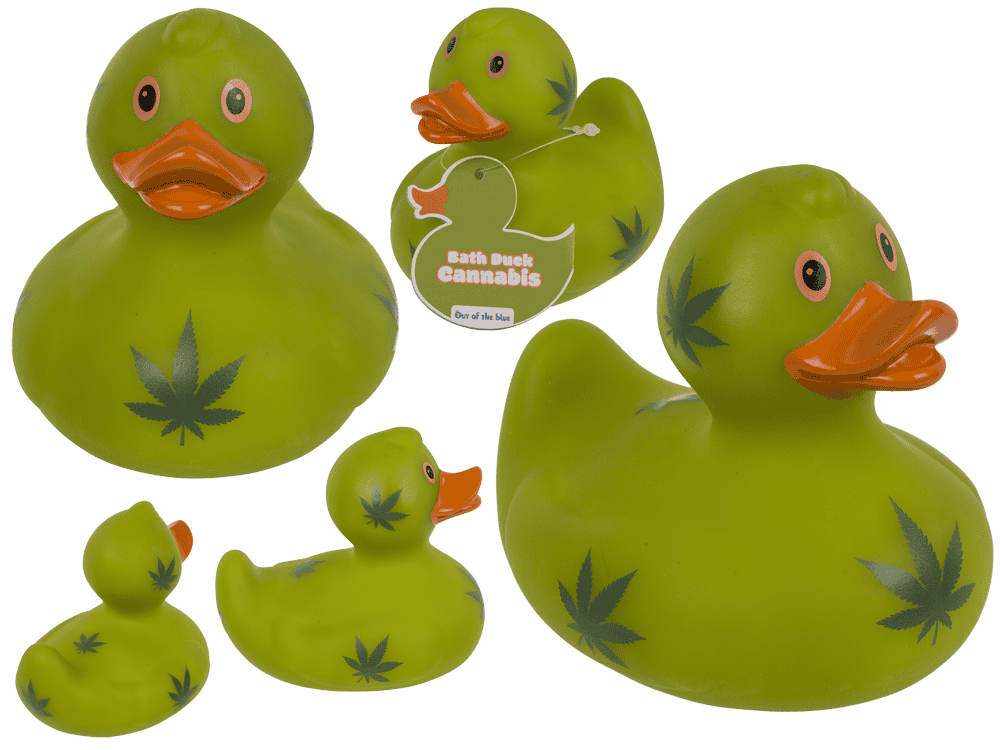 Cannabis canard couineur – env. 10 cm