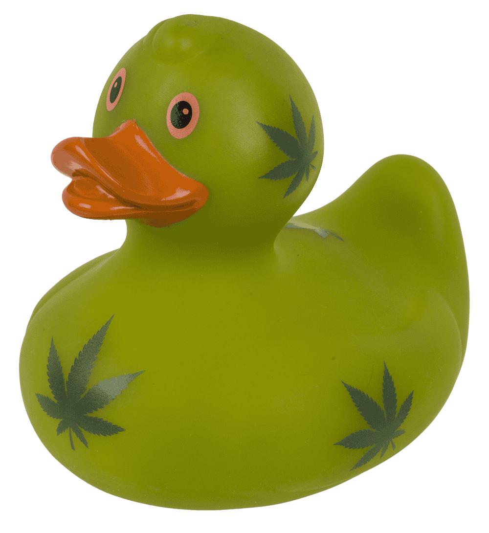 Cannabis canard couineur – env. 10 cm – vue 4