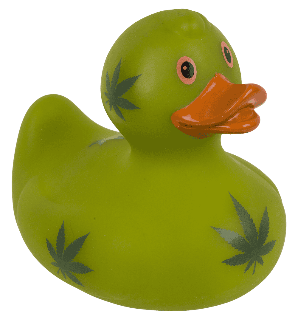 Canard Cannabis – vue 6
