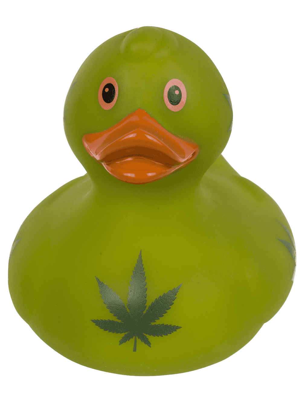 Canard Cannabis – vue 7