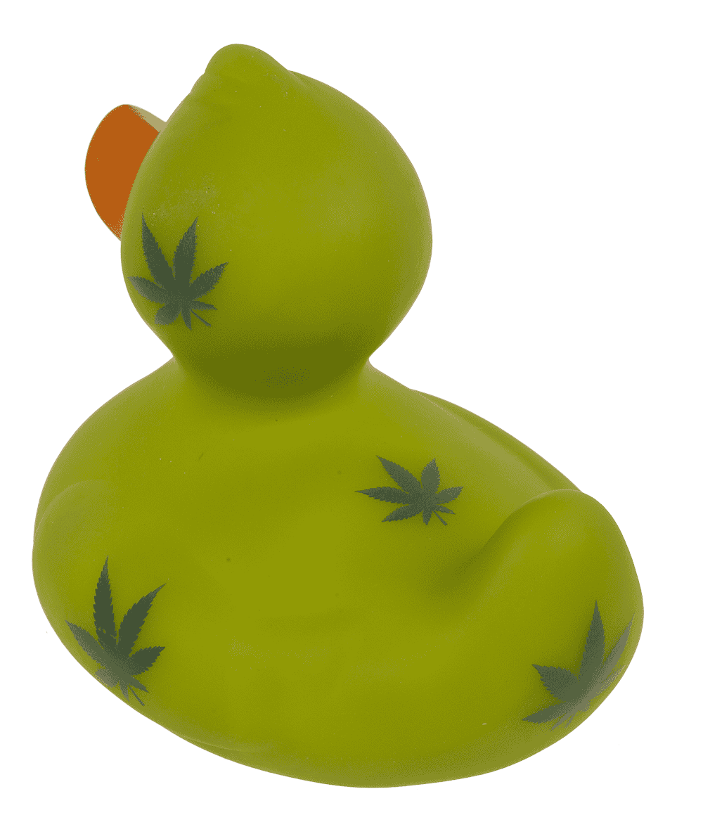 Canard Cannabis – vue 8