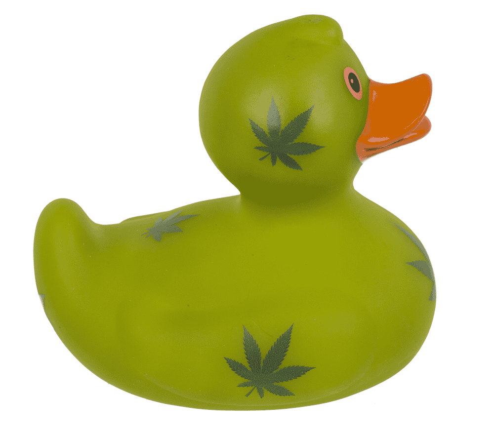 Canard Cannabis – vue 9