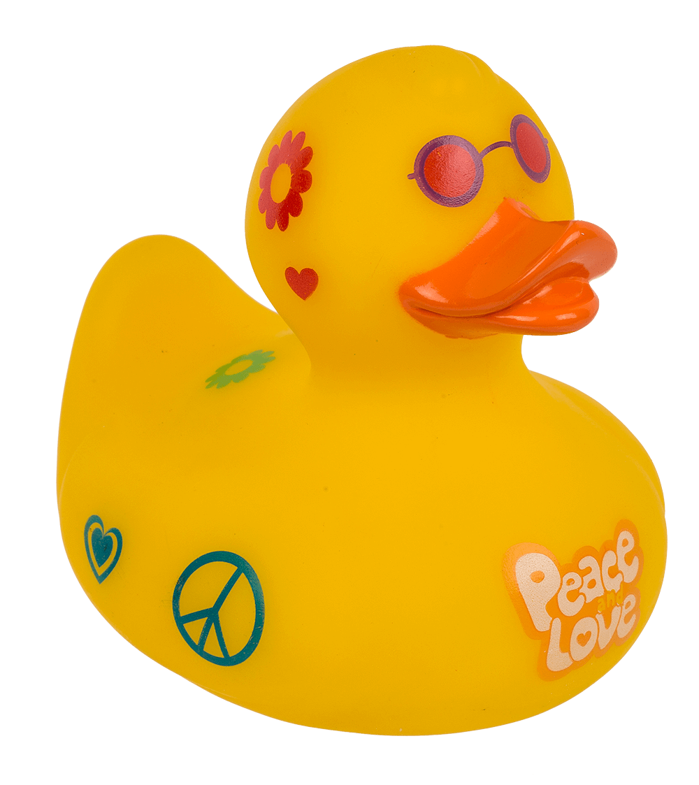 Canard Hippie – vue 4