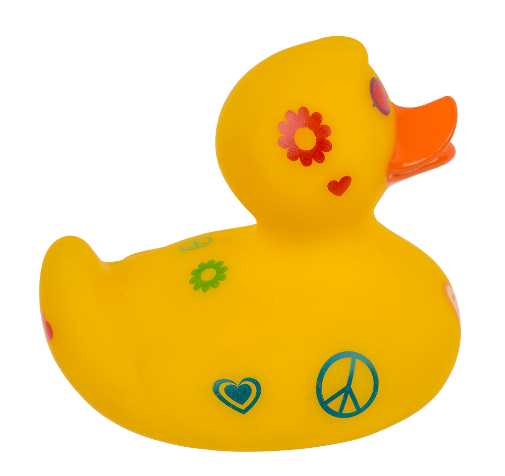 Canard Hippie – vue 5