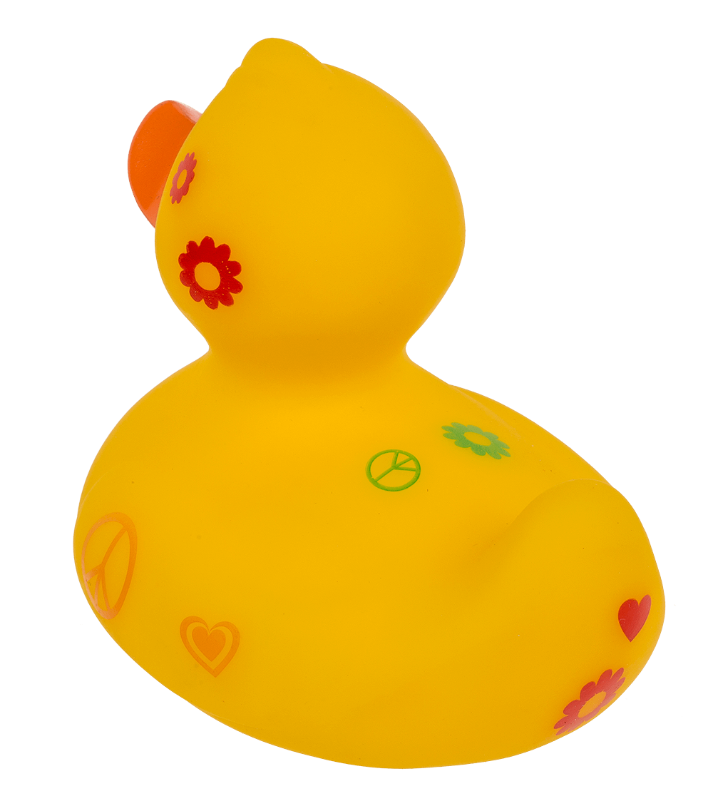 Canard Hippie – vue 7
