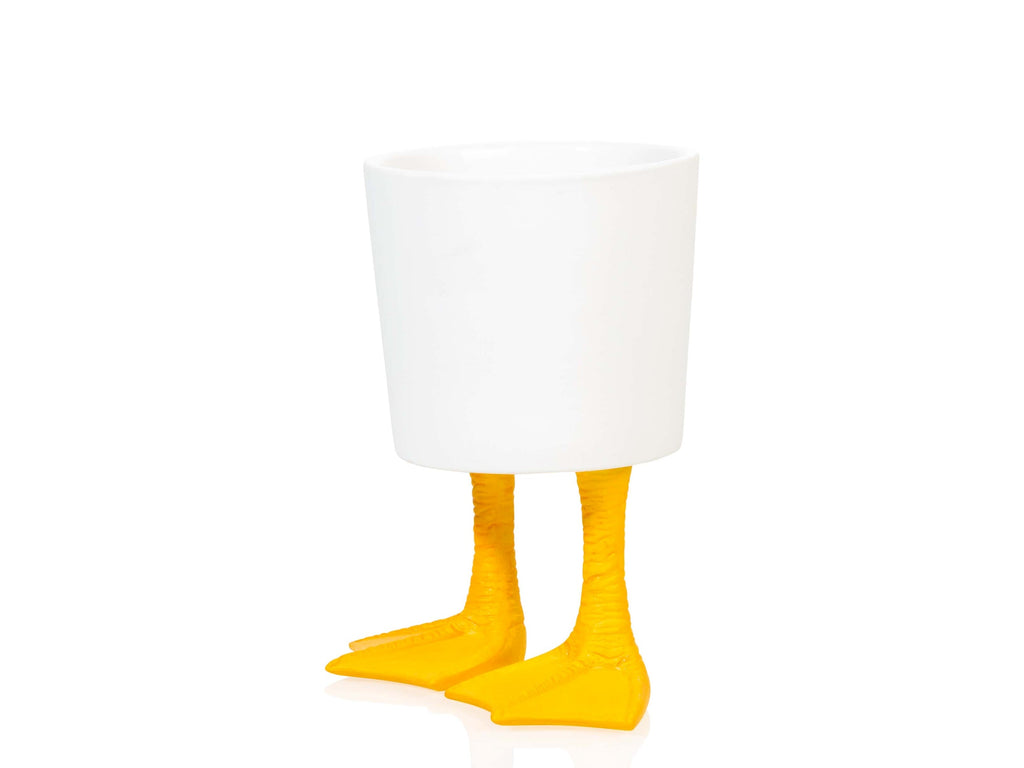 Duck Feet Planter Small