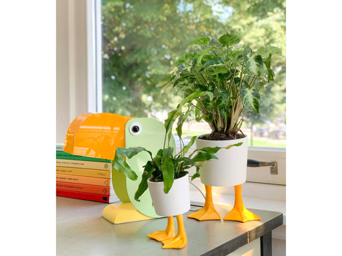 Duck Feet Planter Large