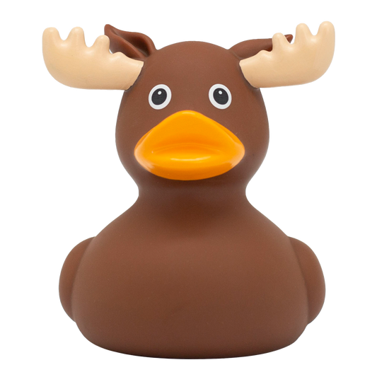 Duck Elk