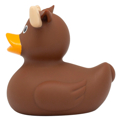 Canard Élan