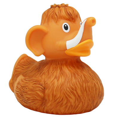 Canard Mammouth