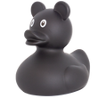 Canard Souris Noir