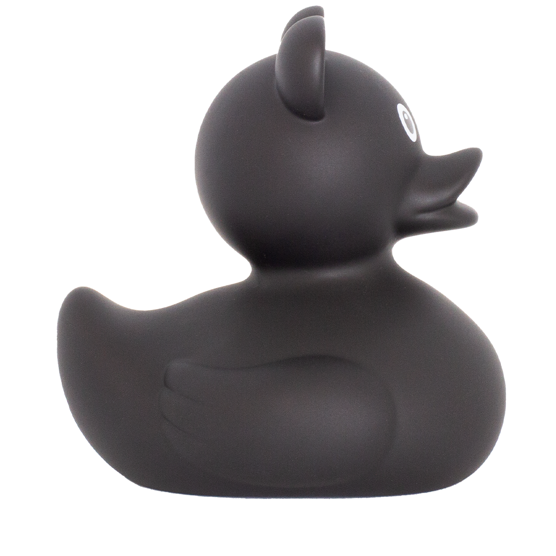 Canard Souris Noir