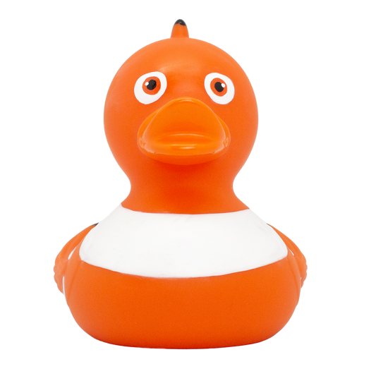 Clownfish Duck