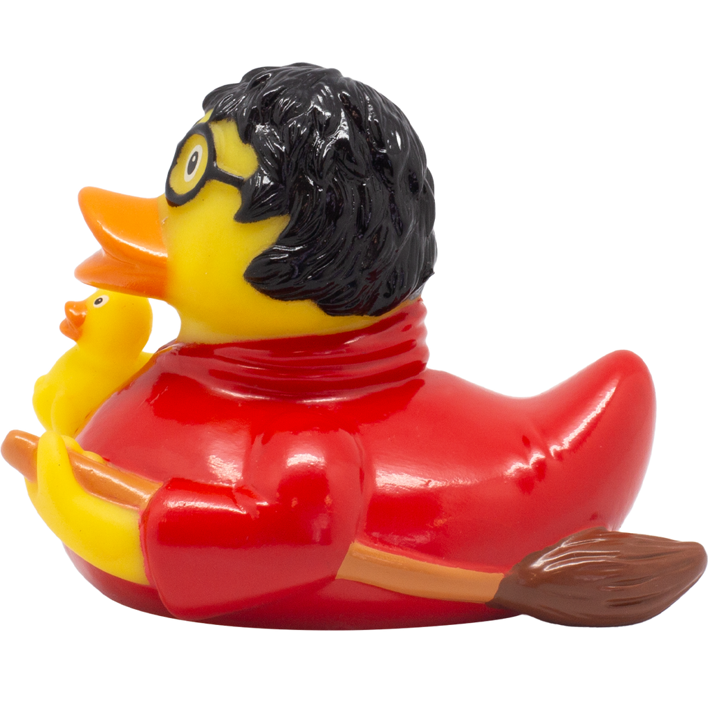 Canard Sorcier
