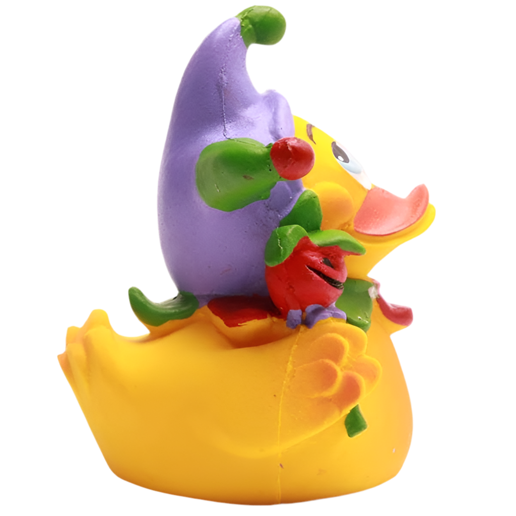 Canard Arlequin