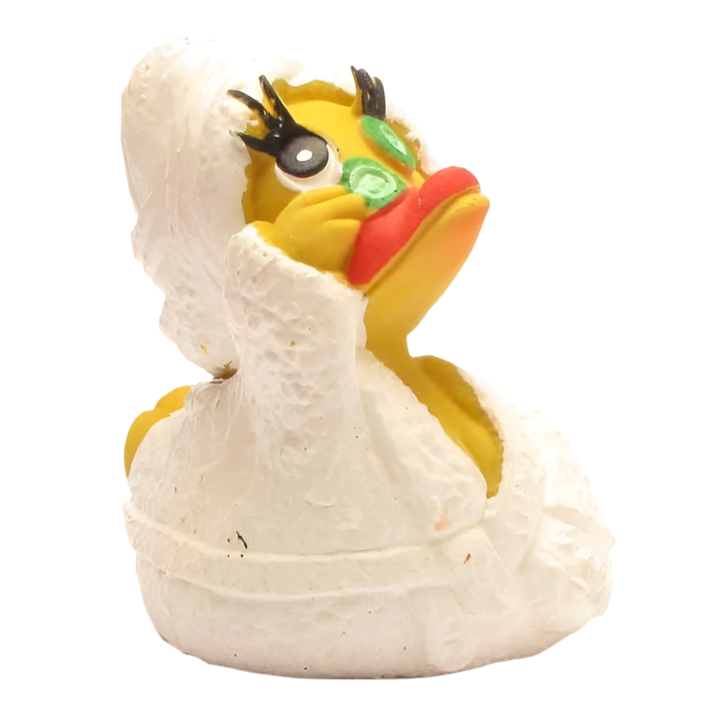 Canard Wellness