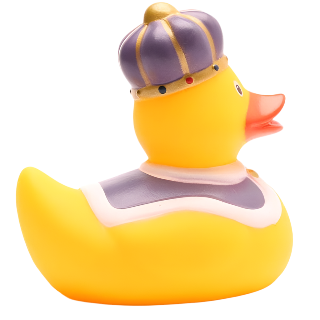 Canard Roi
