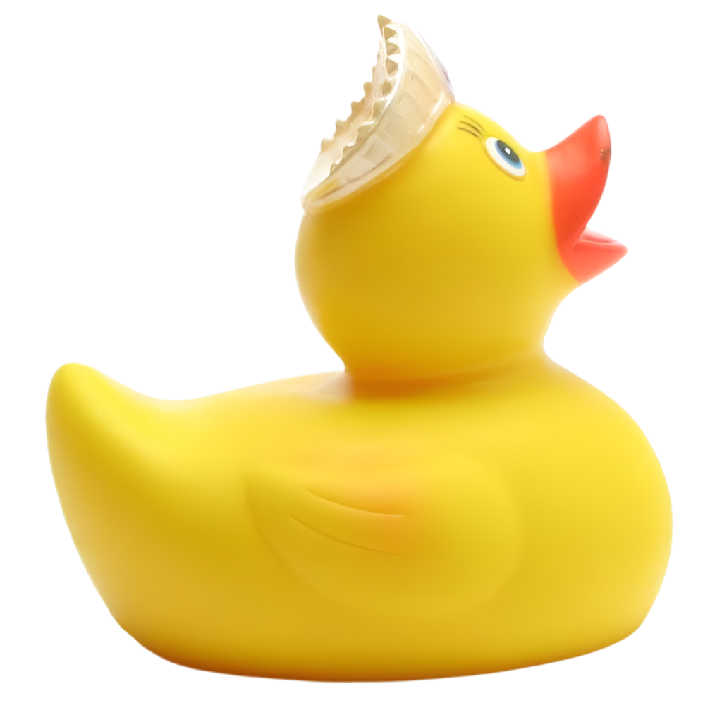 Canard Princesse