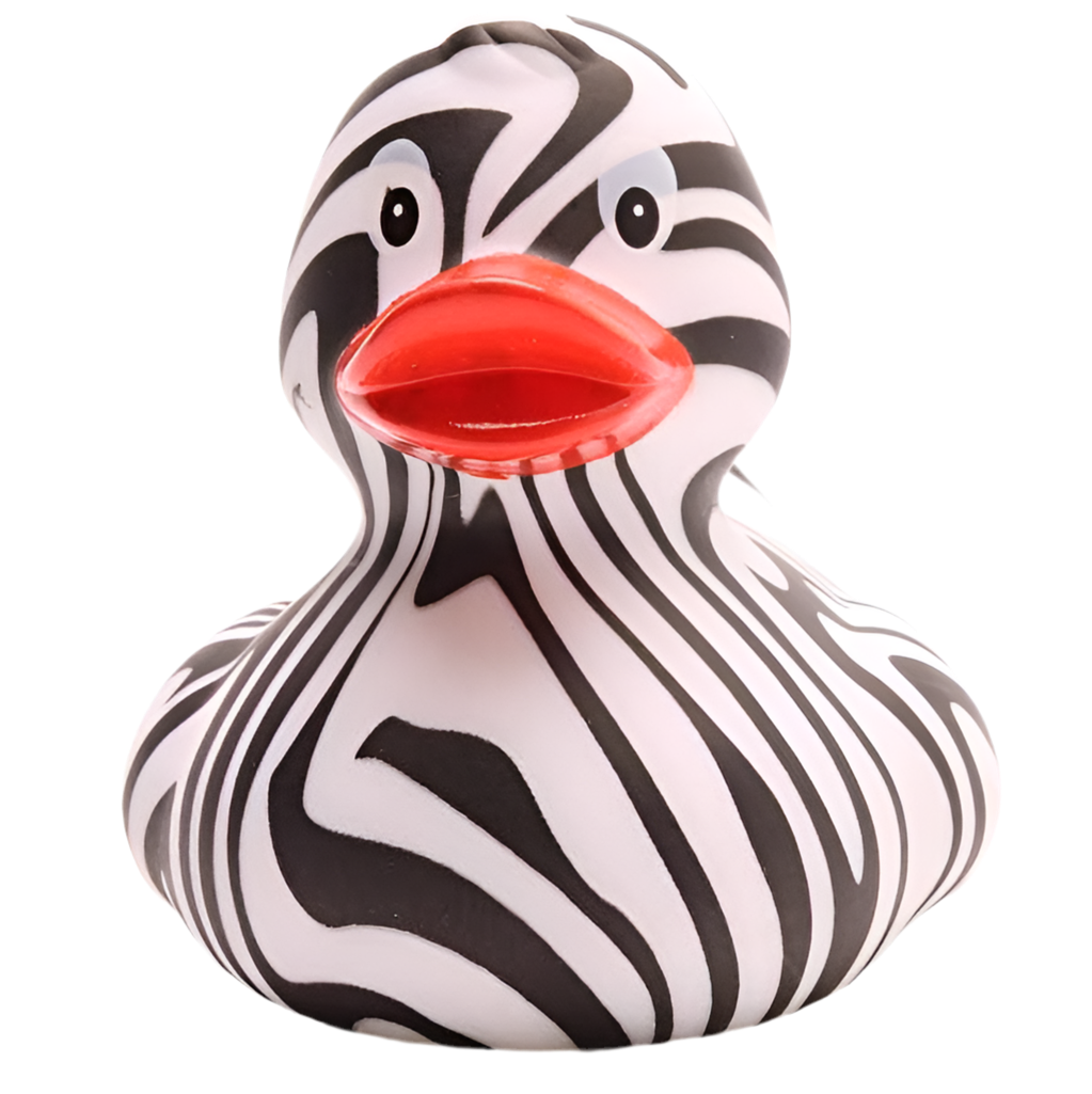 canard zebre