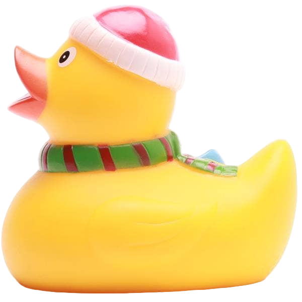 Canard Skieur de Noël
